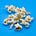 No More Popcorn