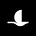 The Supersonic: Blackbird's Secret Substack