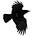 Bad Crow Review