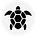 Turtles Research