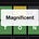 Ang’s Substack