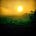 Cathleen Falsani: This Numinous World