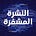 النشرة المشفرة