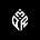 Pinecone Weekly Brief