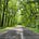 Less-traveled Roads