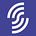 SolanaFM Insights