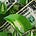 Profit Greenly