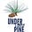 Under a Longleaf Pine