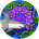 A Shark's Garden
