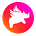 Collaboration with Rhino