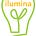 Project Ilumina Newsletter