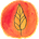 Campo Visual