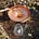 Copper Vortex