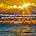 Shine a Light Newsletter