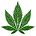 Cannabitch