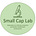 Small Cap Lab 