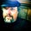 Logbuch eines Liveaboards