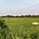 Landowners' Voice