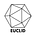 Euclid Insights