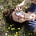 Soft and strong / Les mots doux & puissants