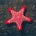 The Order of the Vermillion Star