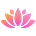 The Pink Zone