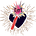 The Noble Try 
