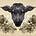 The Black Sheep