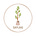 Sapling