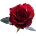 A Literary Eye