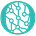 Okoul