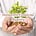 Nonprofit Financial Mastery