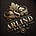 Arlind’s Blueprint: Tech, Innovation, Leadership, Business 
