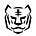 Tiger Research Reports 