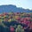 Adirondack Forests