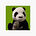 The smallVOICE Substack