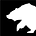 Cryptorama