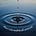 Microdosed Mindfulness