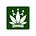 Side of Weed Cannabis Research