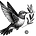The Hummingbird