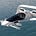 Cars CAN fly - The flying car blog 🛩️