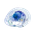AI Policy Perspectives 