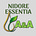 Noticias de Alegría y Abundancia