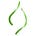 RootStemLeaf