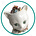 The Keepthings