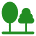 Green for the Win