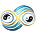 The Cassiopaean Experiment