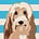 WagginWendyWrites