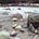 Upriver Readings