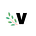 Voohy Leadership Insights